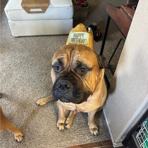 Meet your Posher, Posh